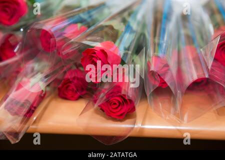 Bouquet de roses rouges fond blanc espace de copie.Bouquet de rose rouge Saint-Valentin. Roses rouges dans le bouquet pour félicitations et couples amoureux de Saint-Valentin Banque D'Images