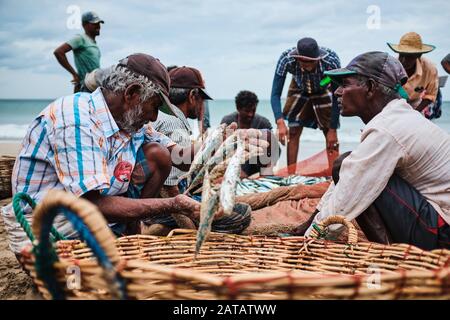 Un groupe de pêcheurs Sri-lankais qui recueillent des poissons des filets sur la plage tropicale de Trincomalee. Banque D'Images