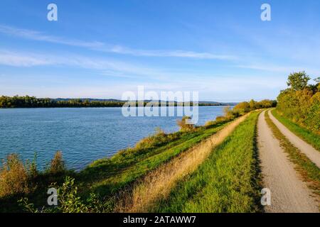 Chemin le long des rives de l'auberge en dessous de l'embouchure de la Salzach, près de Braunau am Inn, Innviertel, Haute-Autriche, Autriche Banque D'Images