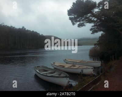 Trois bateaux amarrés à la rive d'un lac brumeux. Réservoir Glencorse Dans Le Parc Régional Du Pentland. Ecosse Banque D'Images