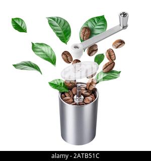 Vue éclatée du moulin à café avec haricots et feuilles rôtis Banque D'Images