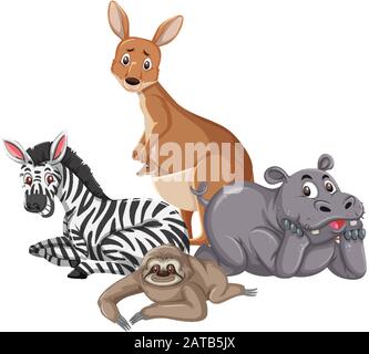 Différents types d'animaux sauvages sur fond blanc illustration Illustration de Vecteur