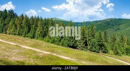 Les montagnes des Carpates en été. sapins sur la pente gazonnée. ensoleillé avec des nuages dans le ciel. foo en amont. chemin concept randonnée backgrou Banque D'Images