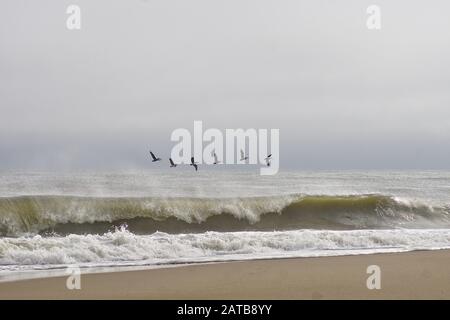 Belles Plages de l'océan des Caraïbes Parmi le Surf, les vagues et le sable de ces îles tropicales Banque D'Images