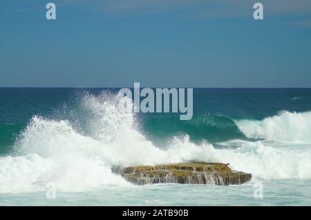 Belles Plages de l'océan des Caraïbes Parmi le Surf, les vagues et le sable de ces îles tropicales Banque D'Images