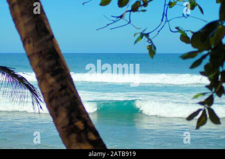 Belles Plages de l'océan des Caraïbes Parmi le Surf, les vagues et le sable de ces îles tropicales Banque D'Images