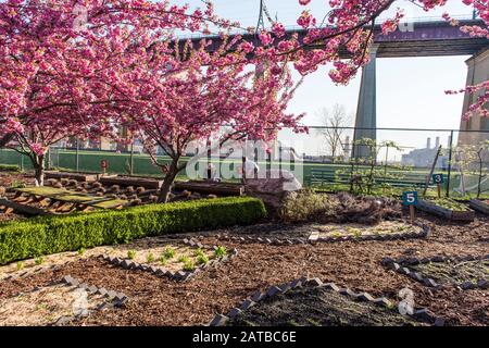 New York City, New York - 23 Avril 2019 : Randall'S Island Urban Farm Banque D'Images