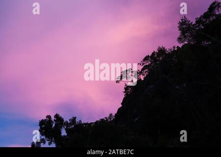 Magnifiques nuages roses et arbres sur la falaise dans le parc national de Bako Malaisie Banque D'Images