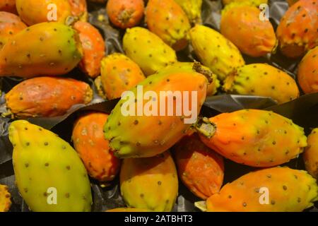 Une savoureuse clôture de poires piquantes et colorées. Rouge, jaune et vert ces délicieux fruits qui poussent sur le cactus sont prêts à être consommés Banque D'Images