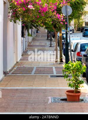 Un vieux trottoir étroit avec des arbres colorés roses fleuris avec des voitures garées, une rue déserte et la lumière du soleil douce du matin. Banque D'Images