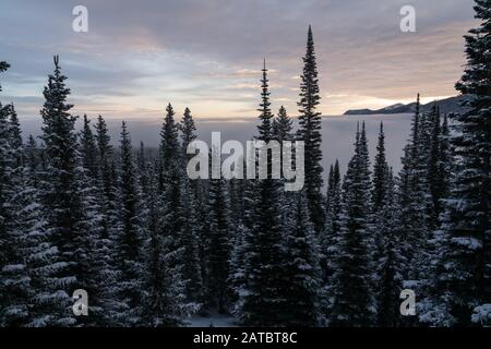 Un matin brumeux sur le sentier Flattop Mountain Trail. Estes Park, Colorado Banque D'Images