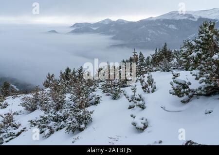 Neige fraîche sur le sentier Flattop Mountain Trail. Estes Park, Colorado. Banque D'Images