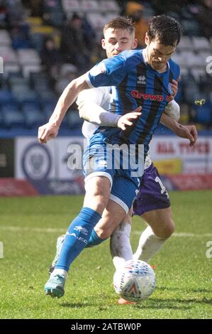 Stade Spotland, Rochdale, Royaume-Uni. 1 févr. 2020. Rochdale, ANGLETERRE - 1 FÉVRIER Jimmy Keohane de Rochdale FC sous pression pendant le match de la Sky Bet League 1 entre Rochdale et Shrewsbury Town au stade Spotland, Rochdale le samedi 1 février 2020. (Crédit: Ian Charles | MI News) la photographie ne peut être utilisée qu'à des fins de rédaction de journaux et/ou de magazines, licence requise à des fins commerciales crédit: Mi News & Sport /Alay Live News Banque D'Images