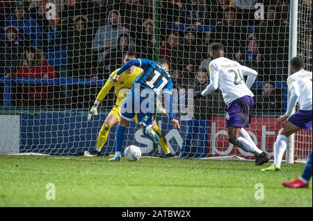 Stade Spotland, Rochdale, Royaume-Uni. 1 févr. 2020. Rochdale, ANGLETERRE - 1 FÉVRIER Tyler Smith de Rochdale FC scores pour Rochdale pendant le match de la Sky Bet League 1 entre Rochdale et Shrewsbury Town au stade Spotland, Rochdale le samedi 1 février 2020. (Crédit: Ian Charles | MI News) la photographie ne peut être utilisée qu'à des fins de rédaction de journaux et/ou de magazines, licence requise à des fins commerciales crédit: Mi News & Sport /Alay Live News Banque D'Images