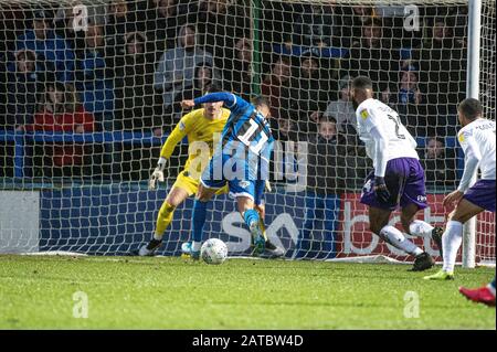 Stade Spotland, Rochdale, Royaume-Uni. 1 févr. 2020. Rochdale, ANGLETERRE - 1 FÉVRIER Tyler Smith de Rochdale FC scores pour Rochdale pendant le match de la Sky Bet League 1 entre Rochdale et Shrewsbury Town au stade Spotland, Rochdale le samedi 1 février 2020. (Crédit: Ian Charles | MI News) la photographie ne peut être utilisée qu'à des fins de rédaction de journaux et/ou de magazines, licence requise à des fins commerciales crédit: Mi News & Sport /Alay Live News Banque D'Images