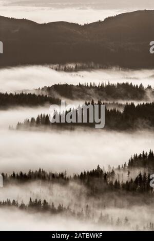 Vue Sur La Forêt D'Achray, Le Parc National Des Trossachs, Écosse Banque D'Images