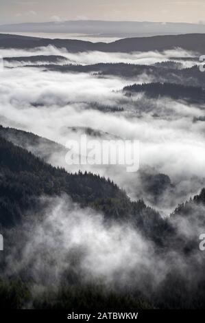 Vue Sur La Forêt D'Achray, Le Parc National Des Trossachs, Écosse Banque D'Images