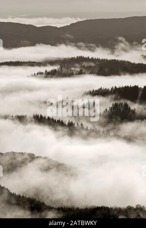 Vue Sur La Forêt D'Achray, Le Parc National Des Trossachs, Écosse Banque D'Images