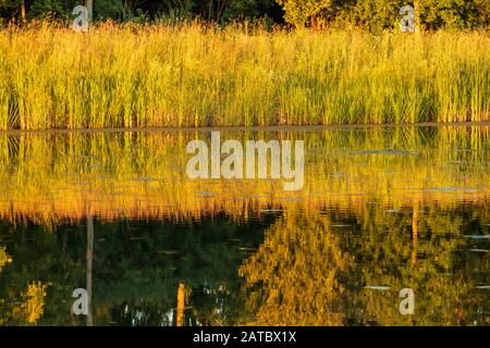 Coucher du soleil réflexion des Queues dans l'étang au parc du village d'Elm Grove Banque D'Images