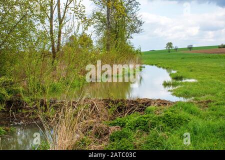 Biber-Biotop – Biotope De Beaver • Bade-Wurtemberg, Allemagne Banque D'Images