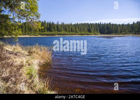 Crno Jezero Ou Black Lake, Une Destination De Randonnée Populaire Sur Pohorje, Slovénie Banque D'Images