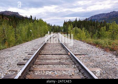 La voie ferrée du parc national Denali. En été, le train s'arrête deux fois par jour, reliant Denali à Anchorage, Talkeetna et Fairbanks. Banque D'Images