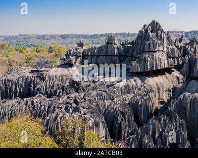 Formations calcaires karstiques impressionnantes dans le Parc National Tsingy de Bemaraha, à Madagascar Banque D'Images