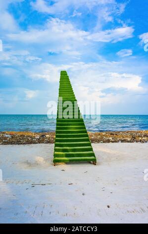 Escalier vert au ciel, paysage, photozone sur la plage, au milieu de la catastrophe environnementale sur Phu Quoc au Vietnam. Décharge de déchets sur la plage de Bai sao Banque D'Images