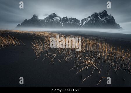 Plage de sable noir en face de Vestrahorn, péninsule de Stokksnes, Sud-est de l'Islande, Islande Banque D'Images