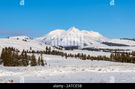 Pic de montagne enneigé. Yellowstone National Park, Wyoming, États-Unis Banque D'Images