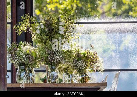 Vases remplis de fleurs australiennes indigènes Banque D'Images
