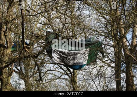 Uxbridge, Royaume-Uni. 1er Février 2020. Séjour et chambre à coucher suspendus à des arbres matures dans la vallée de Colne par des militants écologistes de l'arrêt HS2, Save the Colne Valley et extinction Rebellion essayer de sauver les arbres tout en faisant campagne contre la liaison ferroviaire à grande vitesse controversée HS2. Le premier ministre devrait prendre une décision imminemment quant à la question de savoir s'il doit poursuivre la ligne ferroviaire à grande vitesse. Crédit: Mark Kerrison/Alay Live News Banque D'Images