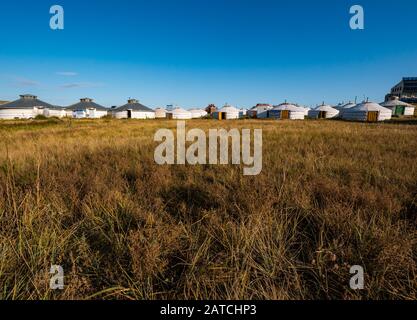 Camp mongol Khustaii ger avec yourts traditionnels, Hustai ou réserve naturelle du parc national Khustain Nuruu, province de Tov, Mongolie, Asie Banque D'Images