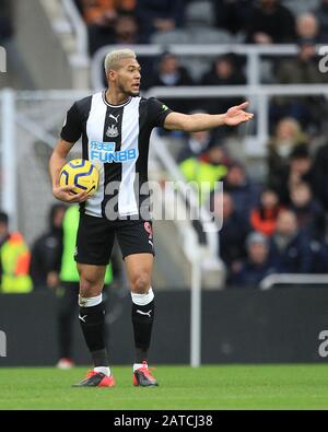 Newcastle UPON TYNE, ANGLETERRE - 1 FÉVRIER Joelinton de Newcastle United lors du match de la Premier League entre Newcastle United et Norwich City à St. James's Park, Newcastle le samedi 1 février 2020. (Crédit : Mark Fletcher | MI News) la photographie ne peut être utilisée qu'à des fins de rédaction de journaux et/ou de magazines, licence requise à des fins commerciales Banque D'Images