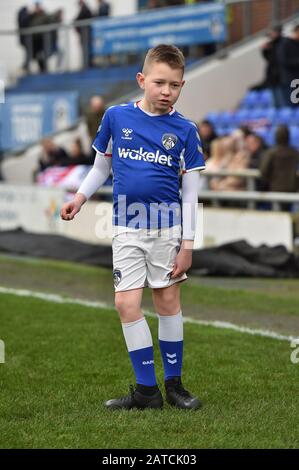 Oldham, Royaume-Uni. 01 février 2020. Oldham, ANGLETERRE - 1 FÉVRIER Mascottes avant le match de la Sky Bet League 2 entre Oldham Athletic et Bradford City à Boundary Park, Oldham le samedi 1 février 2020. (Crédit: Eddie Garvey | MI News) la photographie ne peut être utilisée qu'à des fins de rédaction de journaux et/ou de magazines, licence requise à des fins commerciales crédit: Mi News & Sport /Alay Live News Banque D'Images