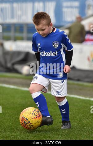 Oldham, Royaume-Uni. 01 février 2020. Oldham, ANGLETERRE - 1 FÉVRIER Mascottes avant le match de la Sky Bet League 2 entre Oldham Athletic et Bradford City à Boundary Park, Oldham le samedi 1 février 2020. (Crédit: Eddie Garvey | MI News) la photographie ne peut être utilisée qu'à des fins de rédaction de journaux et/ou de magazines, licence requise à des fins commerciales crédit: Mi News & Sport /Alay Live News Banque D'Images