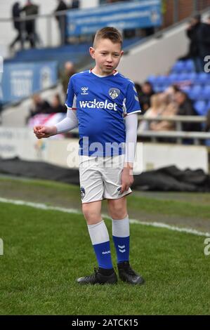 Oldham, Royaume-Uni. 01 février 2020. Oldham, ANGLETERRE - 1 FÉVRIER Mascottes avant le match de la Sky Bet League 2 entre Oldham Athletic et Bradford City à Boundary Park, Oldham le samedi 1 février 2020. (Crédit: Eddie Garvey | MI News) la photographie ne peut être utilisée qu'à des fins de rédaction de journaux et/ou de magazines, licence requise à des fins commerciales crédit: Mi News & Sport /Alay Live News Banque D'Images