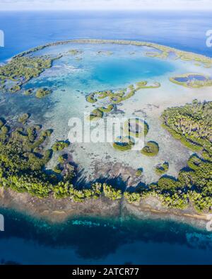 Une île tropicale éloignée de la mer de Molucca est bordée par la forêt de mangroves entourant un lagon peu profond. Cette île est située au cœur du Triangle de corail. Banque D'Images