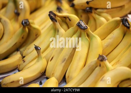 des petits pains de bananes jaunes sont exposés dans un magasin de fruits Banque D'Images