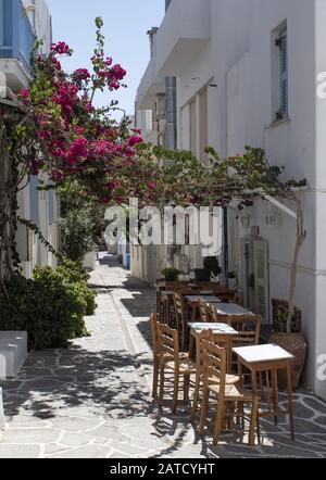 Ensemble de tables et de chaises confortables sous une verrière de vigne À l'extérieur d'une boutique dans le village de Hora dans les Cyclades Banque D'Images