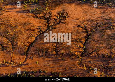 Vue aérienne des lits Dry creek créant des motifs dans la saleté rouge dans le territoire éloigné du Nord, dans le centre de l'Australie Banque D'Images