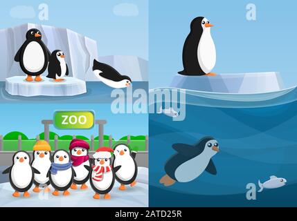 Ensemble de bannières Penguin. Illustration de dessin animé d'un jeu de bannières vectorielles à motif pingouin pour la conception de sites Web Illustration de Vecteur