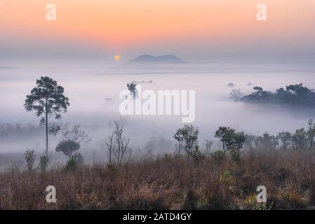 Brouillard paysage le matin lever du soleil au parc national de Thung Salang Luang Phetchabun Banque D'Images