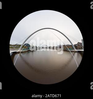 Vue sur les poissons en regardant par le pont du millénaire de Gateshead en haut du Tyne. Le pont relie Newcastle upon Tyne et Gateshead dans le nord de l'Angleterre. Banque D'Images