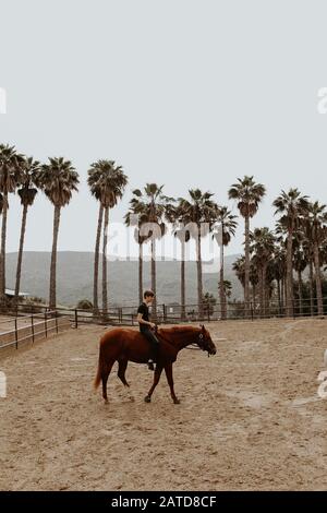 Garçon équitation un cheval, Californie, États-Unis Banque D'Images