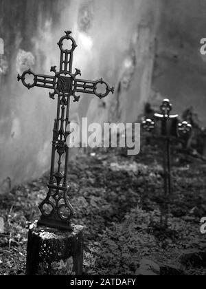 Détail ancien cimetière à Bolgheri, Toscane, Italie. Connu sous le nom de Cimitero di Nonna Lucia. Les croix de fer anciennes marquent les tombes. Monochrome. Banque D'Images