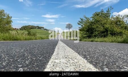 Route droite à travers le paysage rural, Montecatini Val di Cecina, Pise, Toscane, Italie Banque D'Images