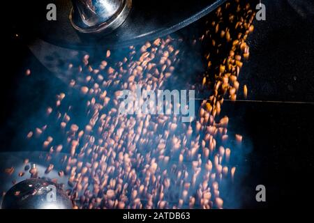 Grains de café fraîchement torréfiés versés à partir de la machine à rôtir Banque D'Images