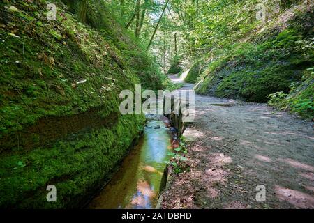 Sentier de randonnée avec un ruisseau dans la gorge du Dragon près d'Eisenach en Thuringe Banque D'Images