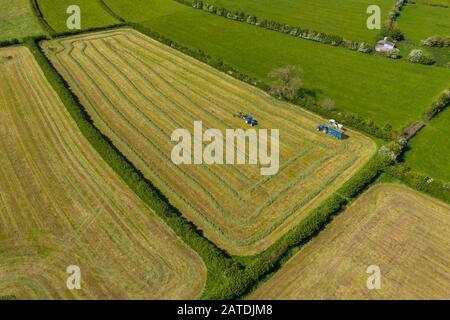 Une photo aérienne prise à partir d'un drone d'agriculteurs qui récoltent de l'herbe pour faire de l'ensilage dans le Wiltshire. Banque D'Images